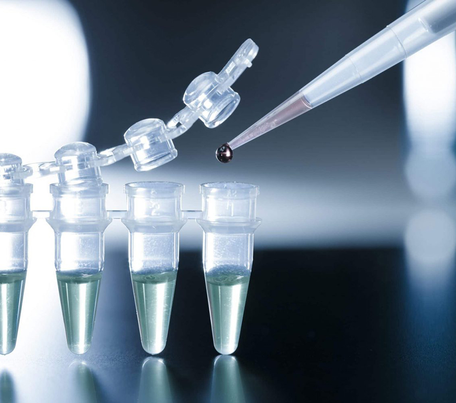 Pathogen Testing Cape Town